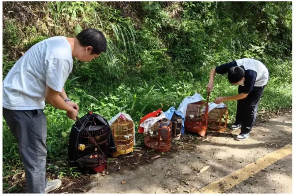 绝地求生外挂卡盟