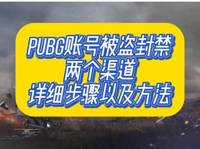 绝地求生辅助怎么购买