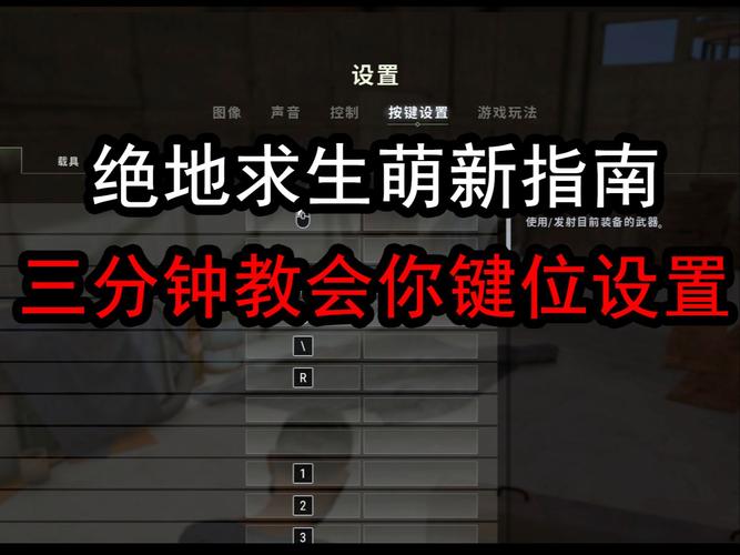 绝地求生辅助用处