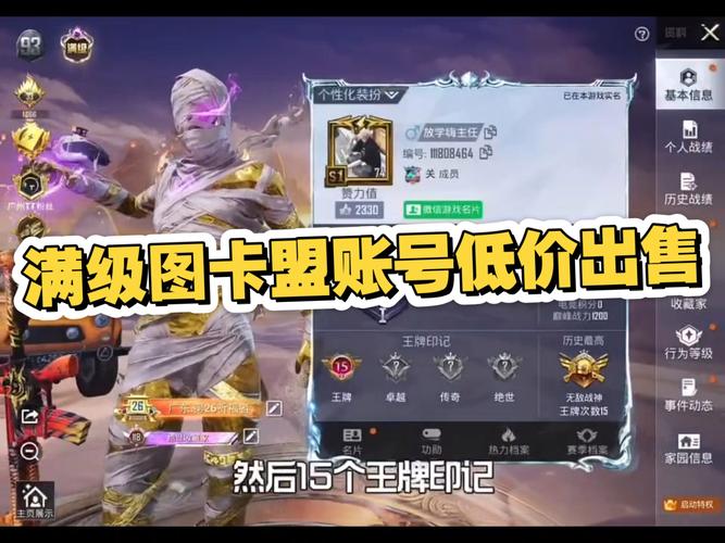 绝地求生辅助卡盟怎么选？安全系数与价格需重点关注